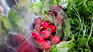 Red radishes stand out among the green vegetables