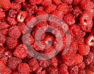 Red raspberries