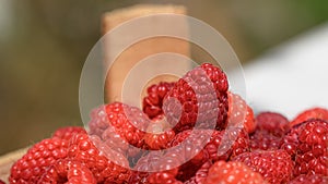 Red raspberries freshly gathereed