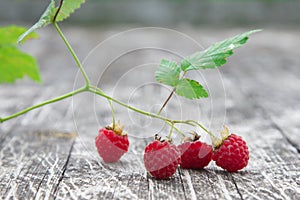 The red raspberries in the garden