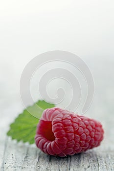 Red raspberry