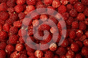 Red raspberry background.