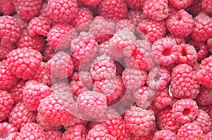 Red raspberry background