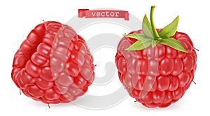 Red raspberry vectorized image. Fresh fruit. 3d realistic vector icon