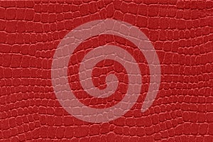 Red reptile skin. crocodile leather texture background