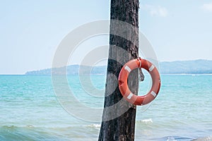 Red rescue lifebuoy hangs on a tree in front of open sea. Tropical destination, Thailand