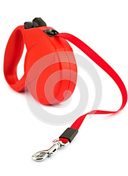 Red retractable leash for dog