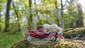 Red retro car carry daisy flowers in the forest