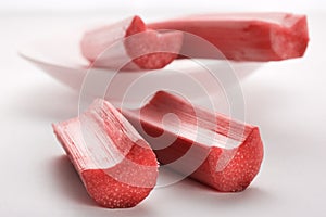 Red rhubarb