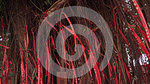 Red ribbons with wishes hang on the wishing tree. Chinese word for English translation is wishing tree.