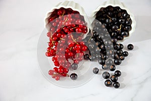 Red Ribes. Berry in a plate on a white background. Black currant. Summer berries on the table. Vitamin healthy food. Currant