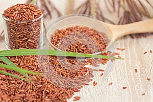 Red rice or Bruwn rice piled on a wooden floor and in a small glass and in the spoon.