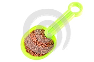 Red rice on spoon