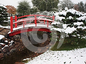Red ridge and snow falling in Japanese garden photo