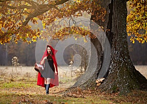 Red Riding Hood cosplay in the forest