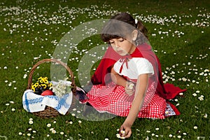 Red riding hood picking daisies