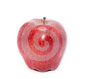 Red ripe apple