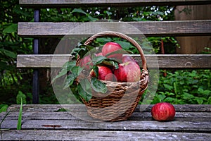 Red ripe apple in basket