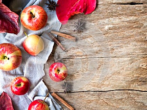 Red ripe apple fruit for autumn and fall food.