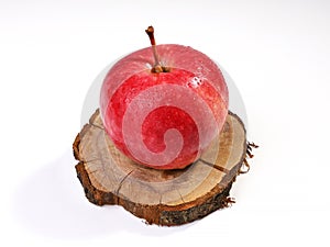 Red ripe apple with water drops on circle apple tree stump, isolated on white background