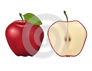 Red ripe apple on a white background. Whole and cut in half.