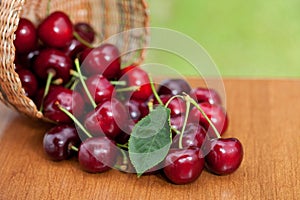 Red Ripe Cherries spilling from basket on a wood table