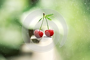 Red ripe cherry with leaves in drops of water on a beautiful blurred bokeh background. Outdoors. Soft selective focus