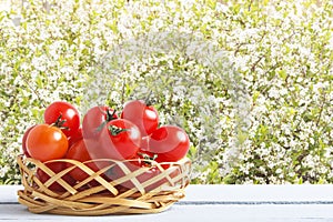 Red ripe cherry tomatoes on wicker basket in outdoor. Wooden table with fresh vegetables on background of cherry trees. Side view.
