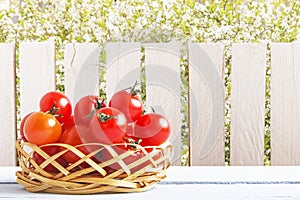Red ripe cherry tomatoes on wicker basket in rustic garden. Wooden table on background of wooden fence and trees. Side view. Copy