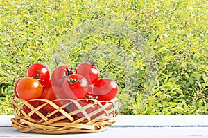 Red ripe cherry tomatoes on wicker basketand on wooden table in outdoor. Fresh vegetables on background of trees in garden. Side v