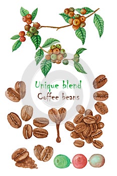 Red ripe coffee fruits branches, green leaf and brown coffee beans illustration pattern with texts