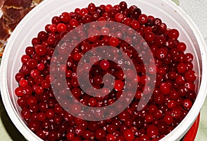 Red ripe cranberries.view background wallpaper food