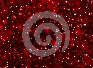 Red ripe cranberries.view background wallpaper food