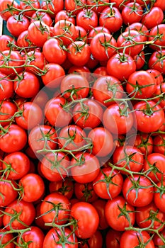 red ripe and delicious tomatoes for sale in an urban market