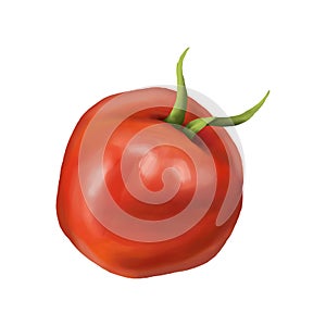 Red ripe fleshy tomato. Digital illustration on a white background