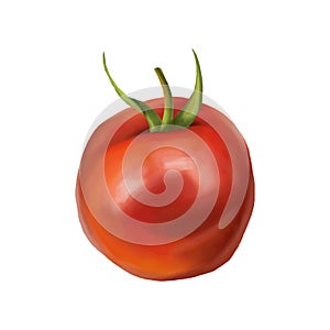 Red ripe fleshy tomato. Digital illustration on a white background