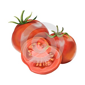 Red ripe fleshy tomato with olive stalk. Two whole and one half. Digital illustration on a white background