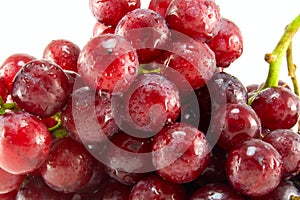 Red ripe grape