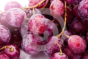 Red ripe grape over white