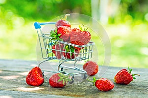 Red ripe juicy strawberries in a small metal cart from a supermarket in a summer garden
