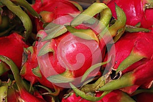 Red ripe pitaya or pitahaya dragon fruit close up