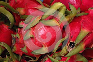 Red ripe pitaya or pitahaya dragon fruit close up