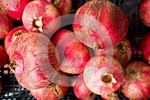 Close up of red ripe pomegranates in a basket during autumn harvest, whole fresh and organic food for a healthy diet photo
