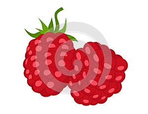 Red ripe raspberries. Fresh berry isolated on a white background.
