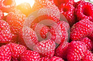 Red ripe raspberry closeup