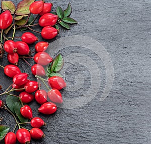 Red ripe rose-hips on gray graphite background. Top view