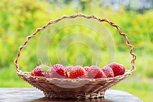 Red ripe strawberries in a wooden basket on the green grass