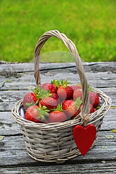 Red ripe strawberries in a wooden basket on the old boards