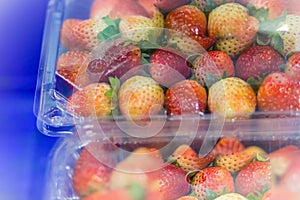 Red ripe strawberry in plastic packaging for sale.