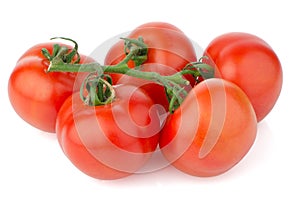 Red ripe tomato